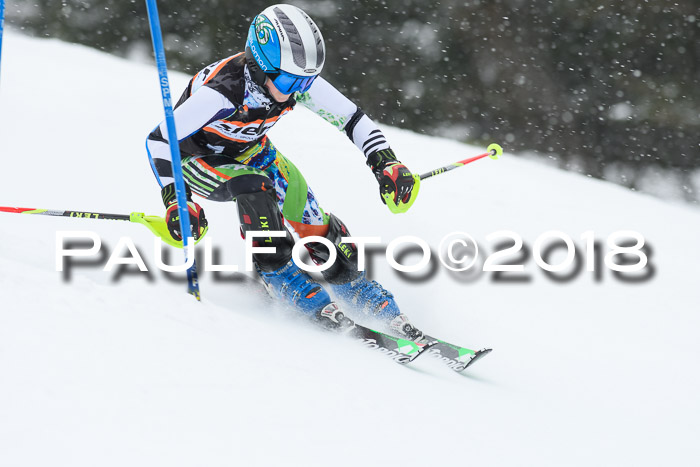 4. Ziener Cup WF, 25.02.2018