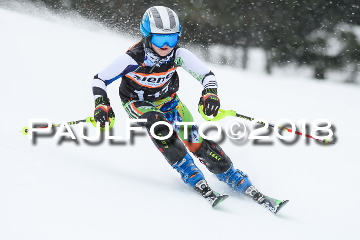 4. Ziener Cup WF, 25.02.2018
