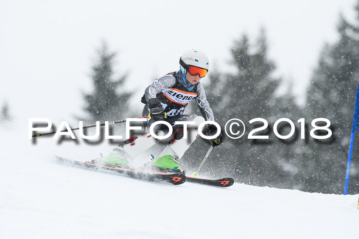 4. Ziener Cup WF, 25.02.2018