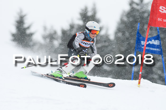 4. Ziener Cup WF, 25.02.2018