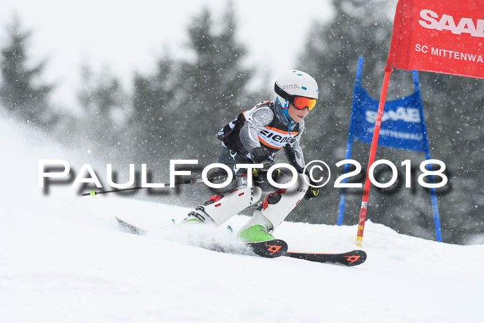 4. Ziener Cup WF, 25.02.2018