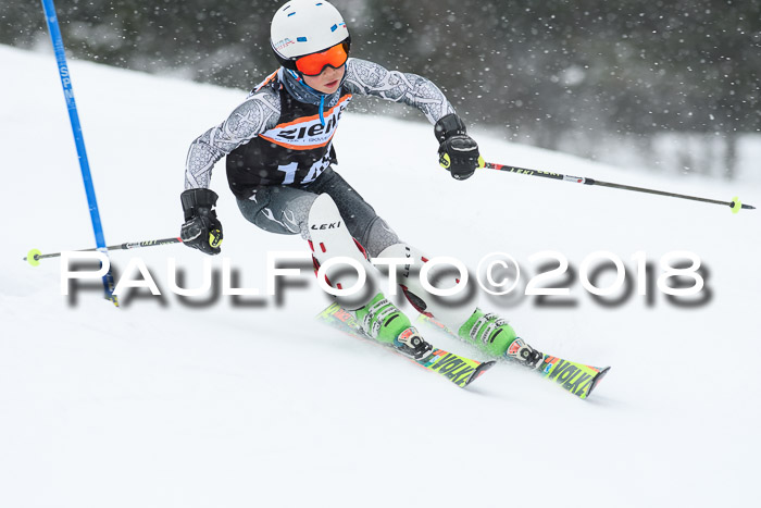 4. Ziener Cup WF, 25.02.2018