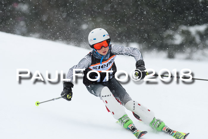 4. Ziener Cup WF, 25.02.2018