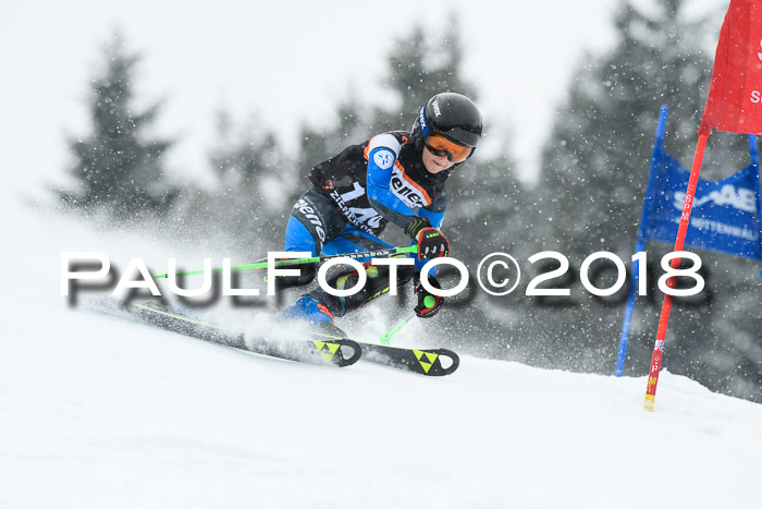 4. Ziener Cup WF, 25.02.2018