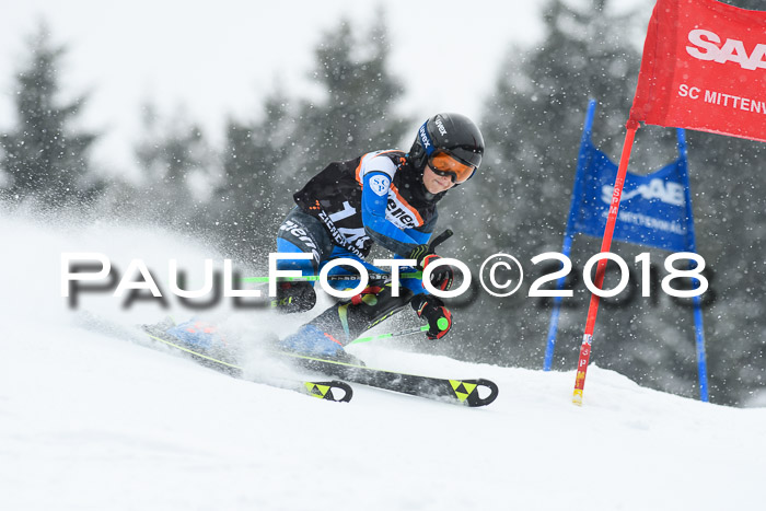 4. Ziener Cup WF, 25.02.2018
