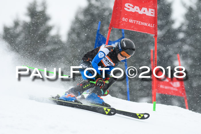 4. Ziener Cup WF, 25.02.2018