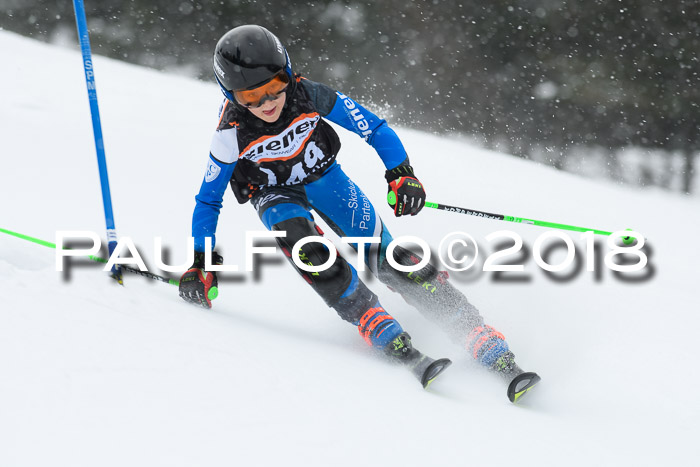 4. Ziener Cup WF, 25.02.2018