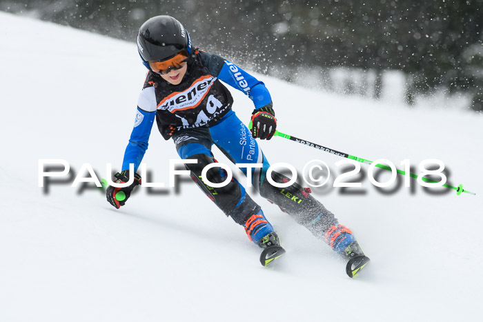 4. Ziener Cup WF, 25.02.2018