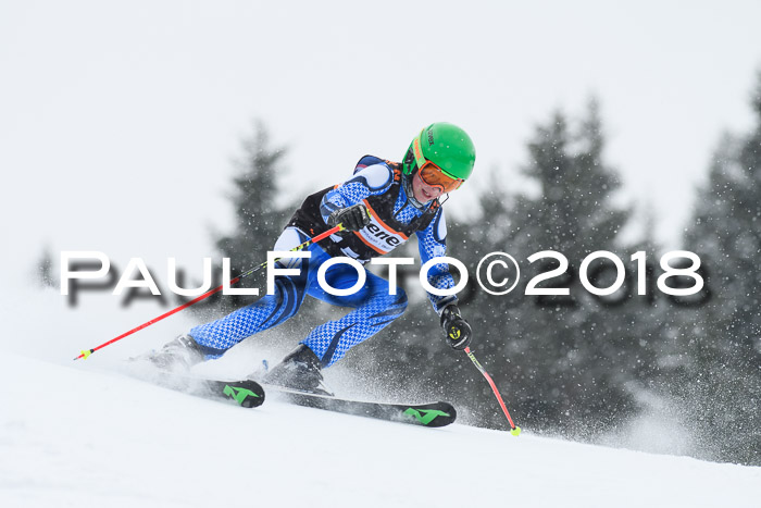 4. Ziener Cup WF, 25.02.2018