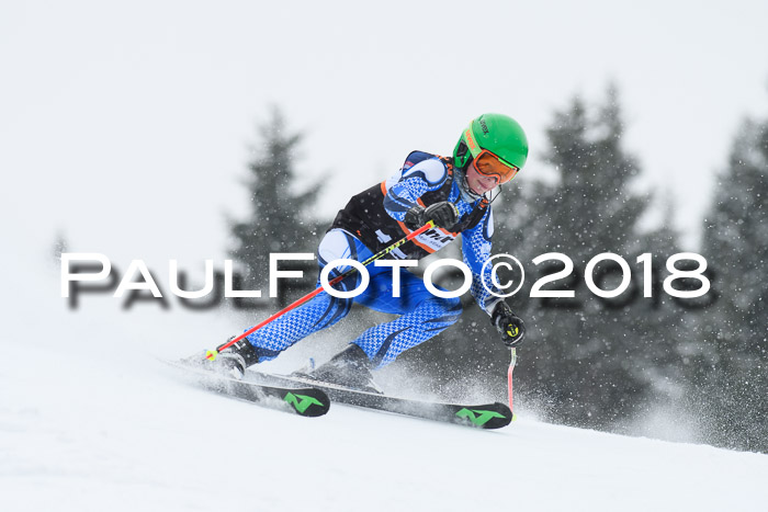4. Ziener Cup WF, 25.02.2018