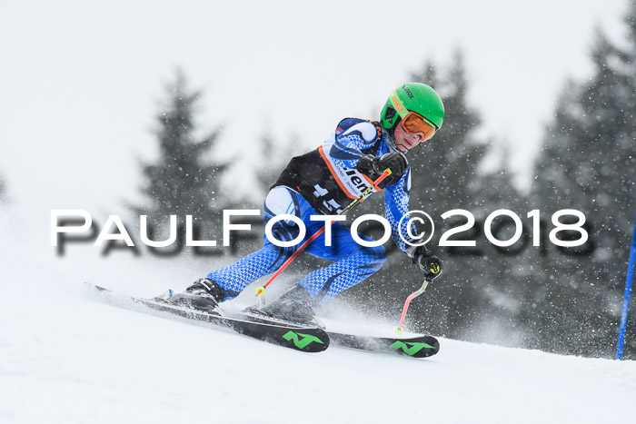 4. Ziener Cup WF, 25.02.2018
