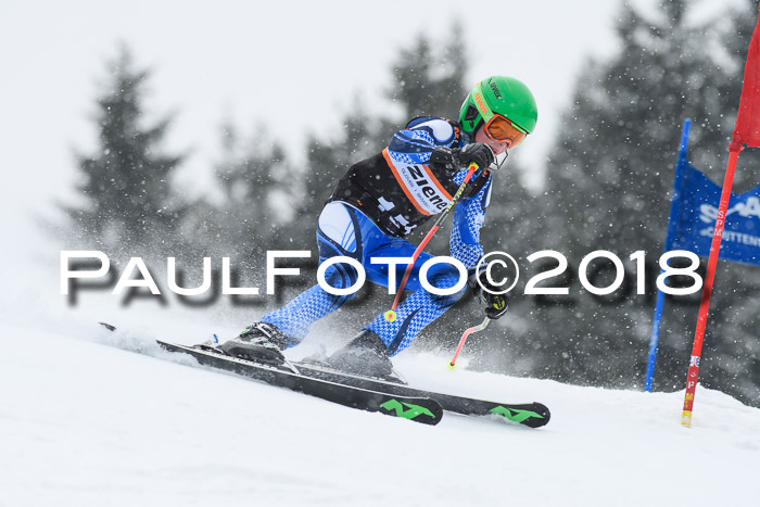 4. Ziener Cup WF, 25.02.2018