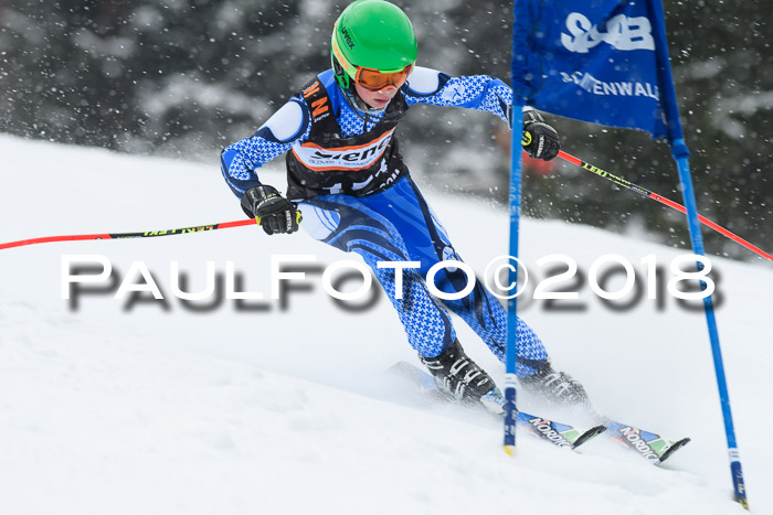 4. Ziener Cup WF, 25.02.2018