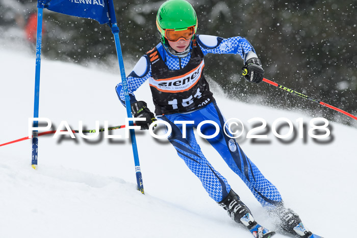 4. Ziener Cup WF, 25.02.2018