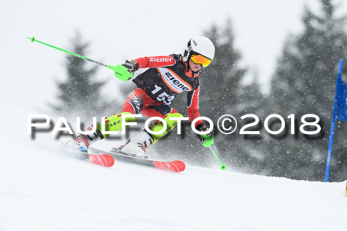 4. Ziener Cup WF, 25.02.2018