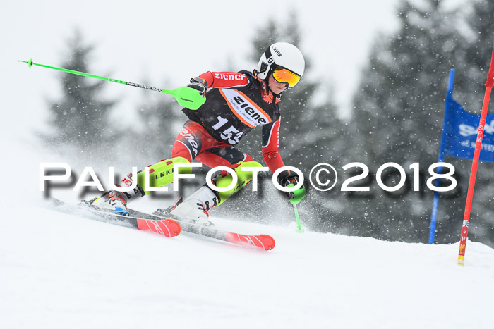 4. Ziener Cup WF, 25.02.2018