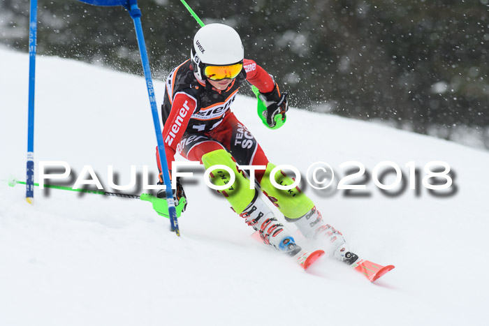4. Ziener Cup WF, 25.02.2018