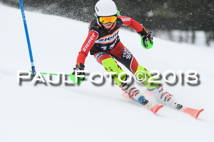4. Ziener Cup WF, 25.02.2018