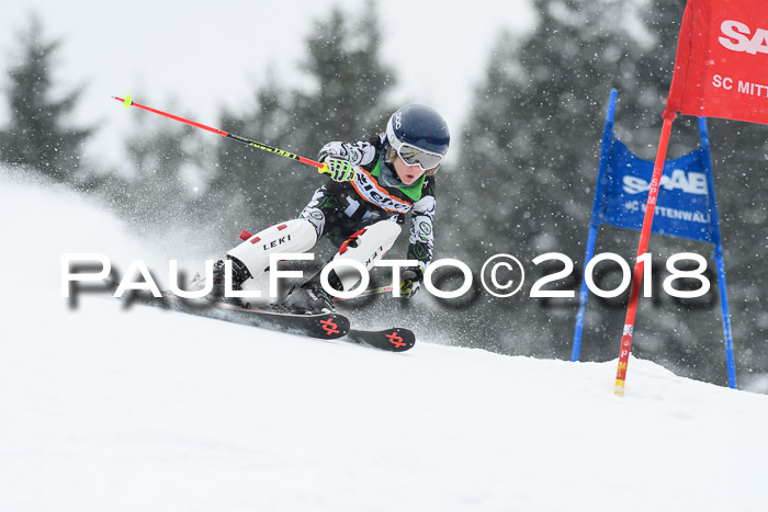 4. Ziener Cup WF, 25.02.2018