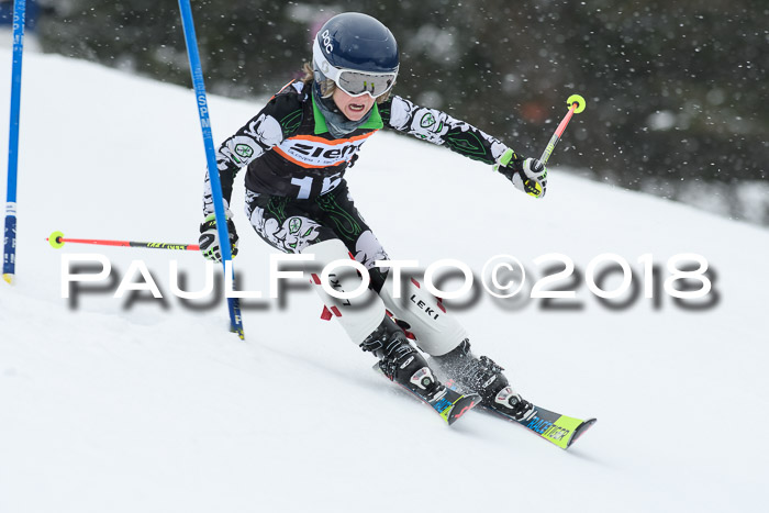 4. Ziener Cup WF, 25.02.2018