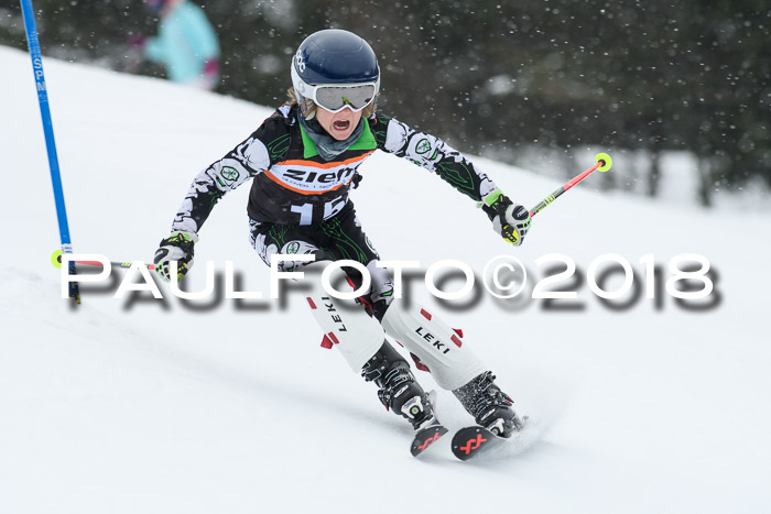4. Ziener Cup WF, 25.02.2018