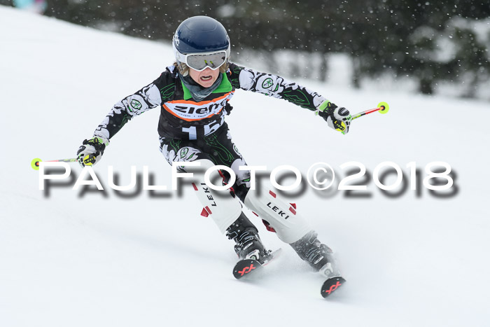4. Ziener Cup WF, 25.02.2018