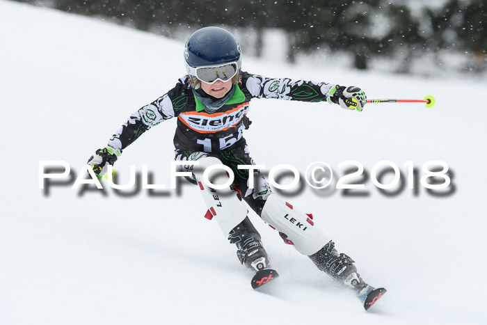 4. Ziener Cup WF, 25.02.2018