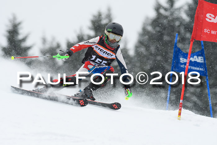 4. Ziener Cup WF, 25.02.2018