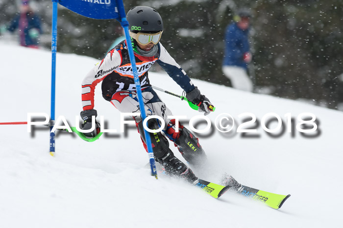 4. Ziener Cup WF, 25.02.2018