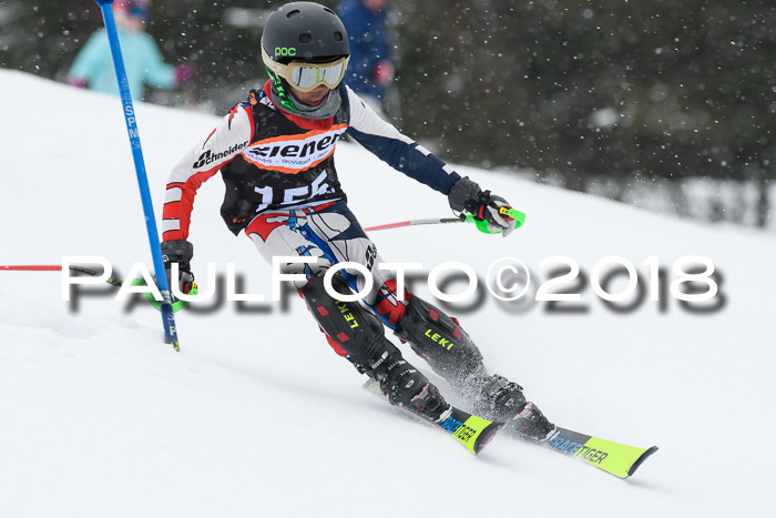 4. Ziener Cup WF, 25.02.2018