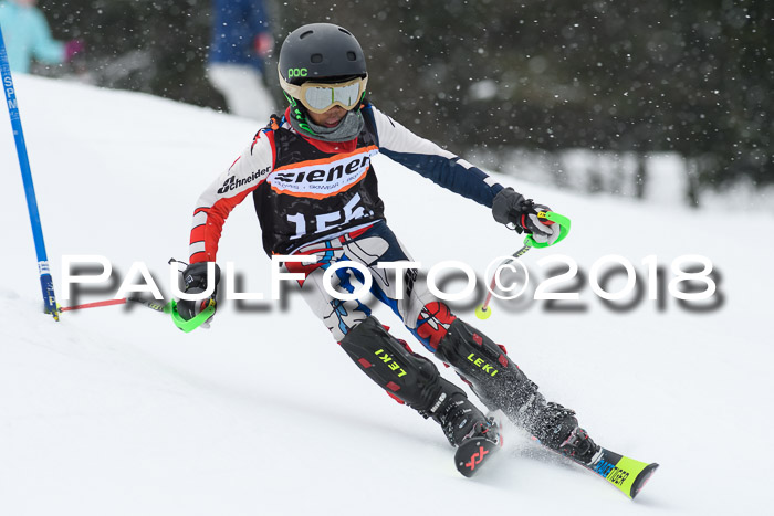 4. Ziener Cup WF, 25.02.2018