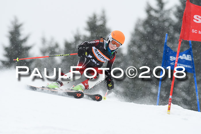 4. Ziener Cup WF, 25.02.2018