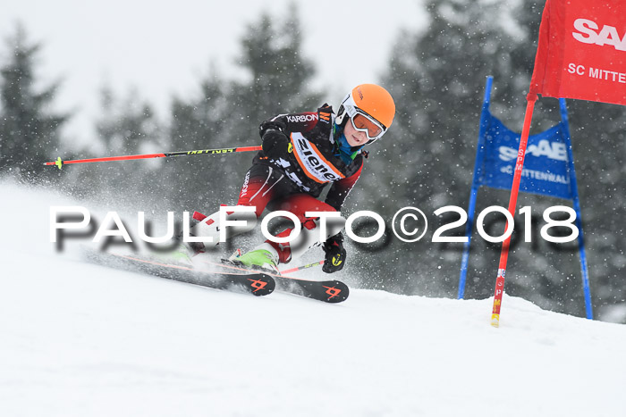 4. Ziener Cup WF, 25.02.2018