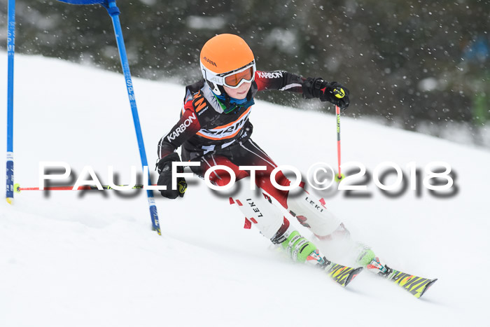 4. Ziener Cup WF, 25.02.2018
