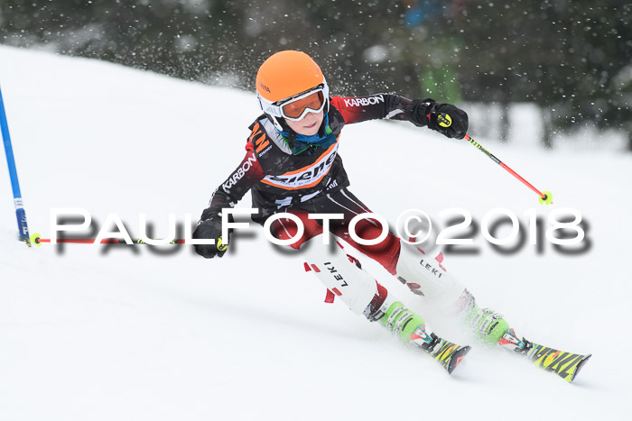 4. Ziener Cup WF, 25.02.2018