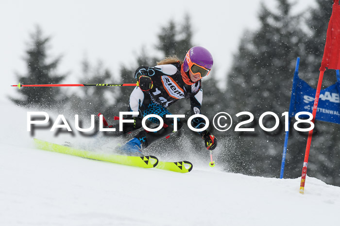 4. Ziener Cup WF, 25.02.2018