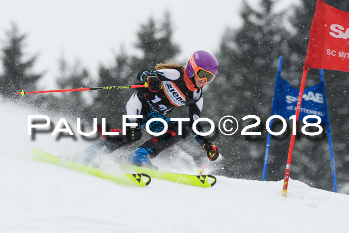 4. Ziener Cup WF, 25.02.2018