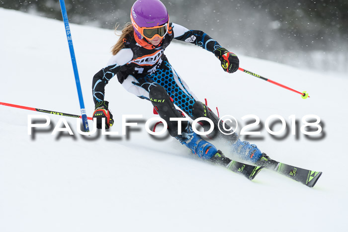 4. Ziener Cup WF, 25.02.2018