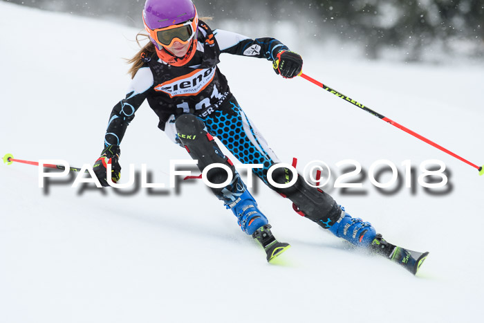 4. Ziener Cup WF, 25.02.2018