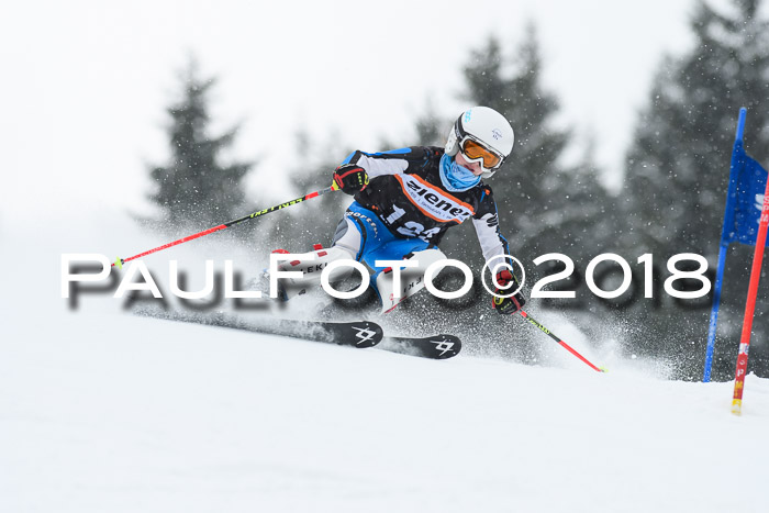 4. Ziener Cup WF, 25.02.2018