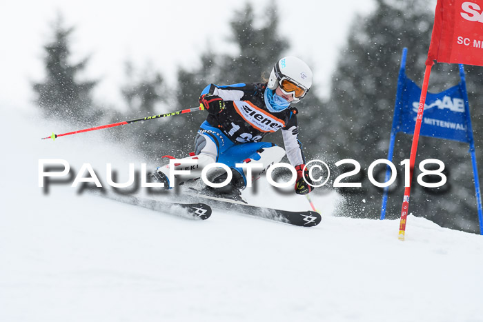 4. Ziener Cup WF, 25.02.2018