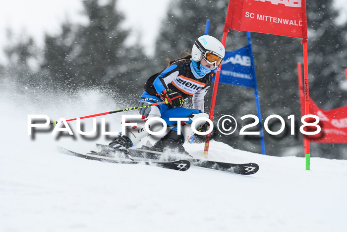 4. Ziener Cup WF, 25.02.2018
