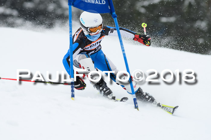 4. Ziener Cup WF, 25.02.2018