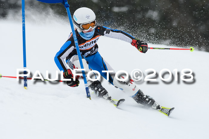 4. Ziener Cup WF, 25.02.2018