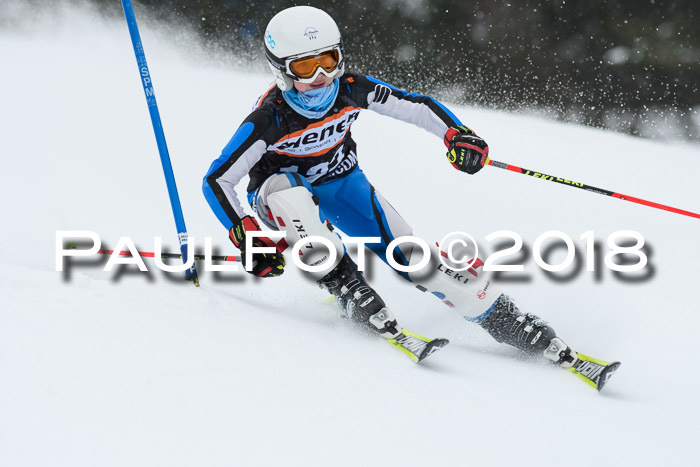 4. Ziener Cup WF, 25.02.2018