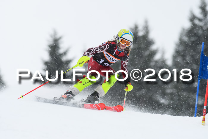 4. Ziener Cup WF, 25.02.2018