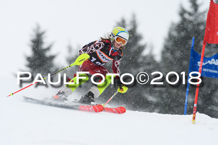 4. Ziener Cup WF, 25.02.2018