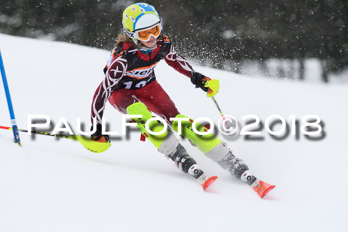 4. Ziener Cup WF, 25.02.2018