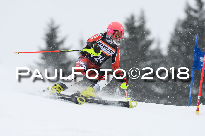 4. Ziener Cup WF, 25.02.2018