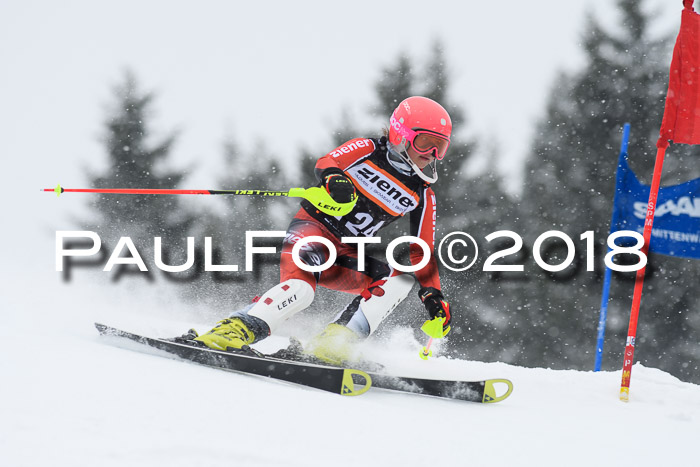 4. Ziener Cup WF, 25.02.2018
